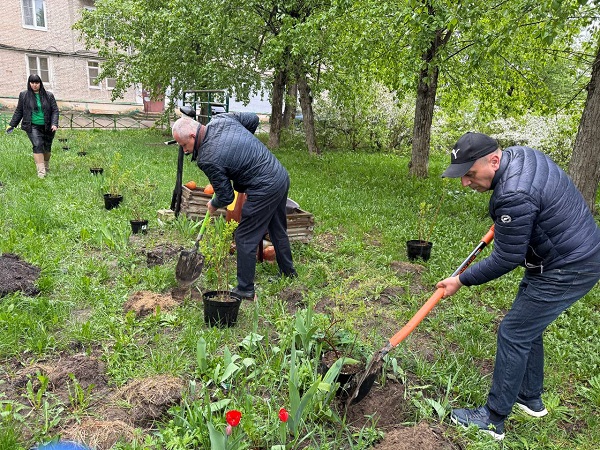 Высадка кустарников у синагоги в Дзержинске